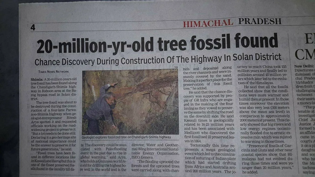 20-million-year old fossilised tree saved from destruction in Himachal - Ritesh Arya